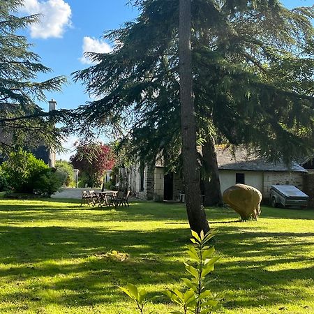 Maison De Charme Saint-Saturnin-sur-Loire エクステリア 写真